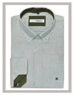 Camisa de hombre manga larga rayas en verde Cítrico 1774